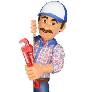 One Year Free maintenance 